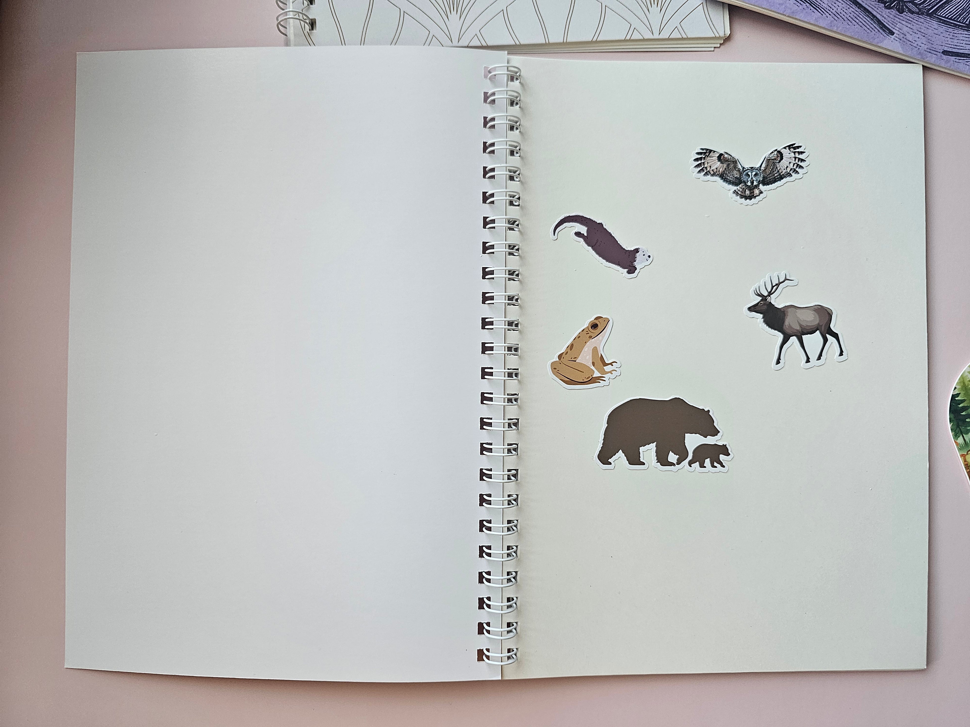 Aurora Lights Reusable Sticker Book | 32-Sided Sticker Storage Album