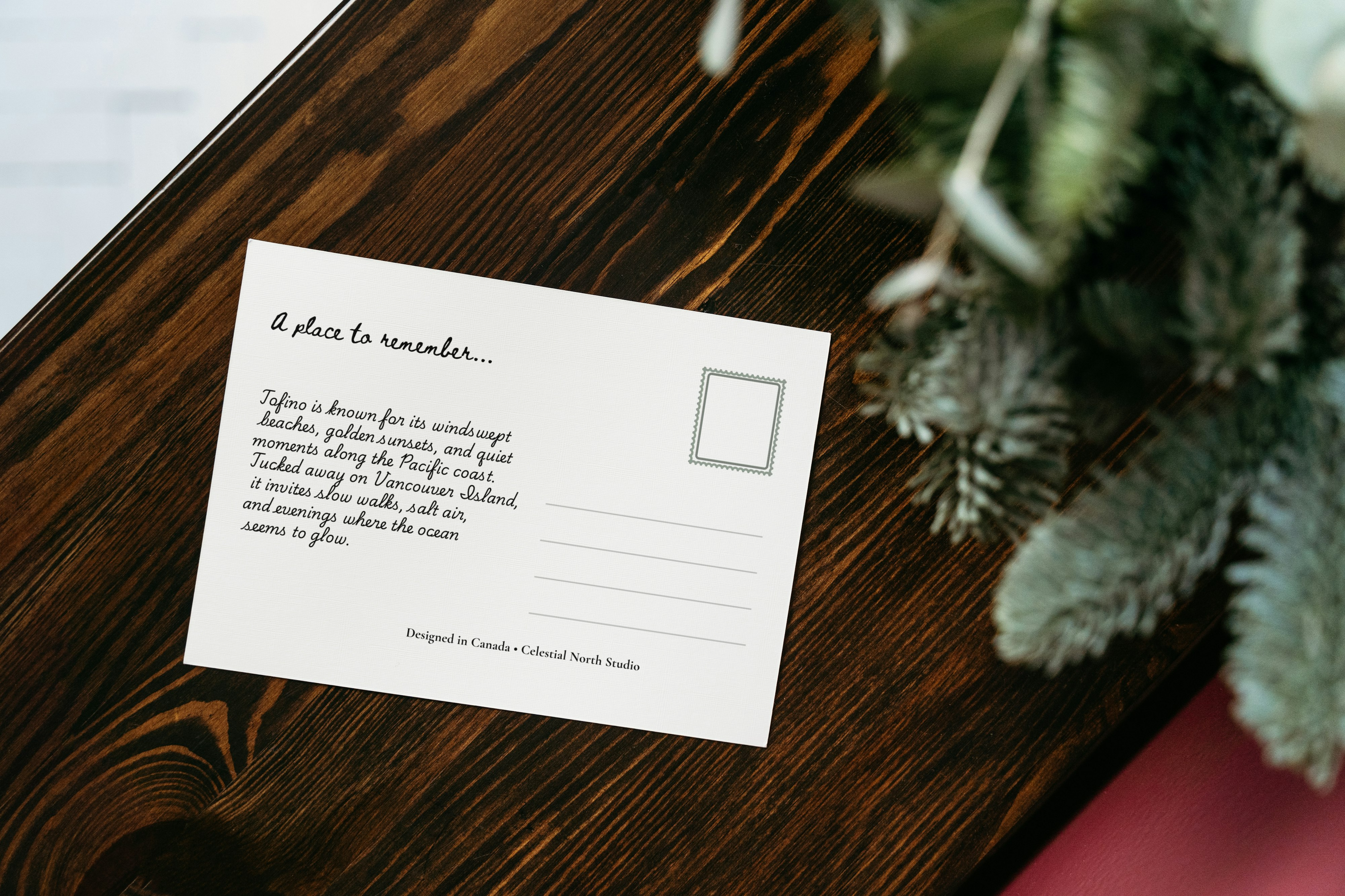 Coastal Calm Reader’s Kit | Tofino & Pacific Stationery Bundle