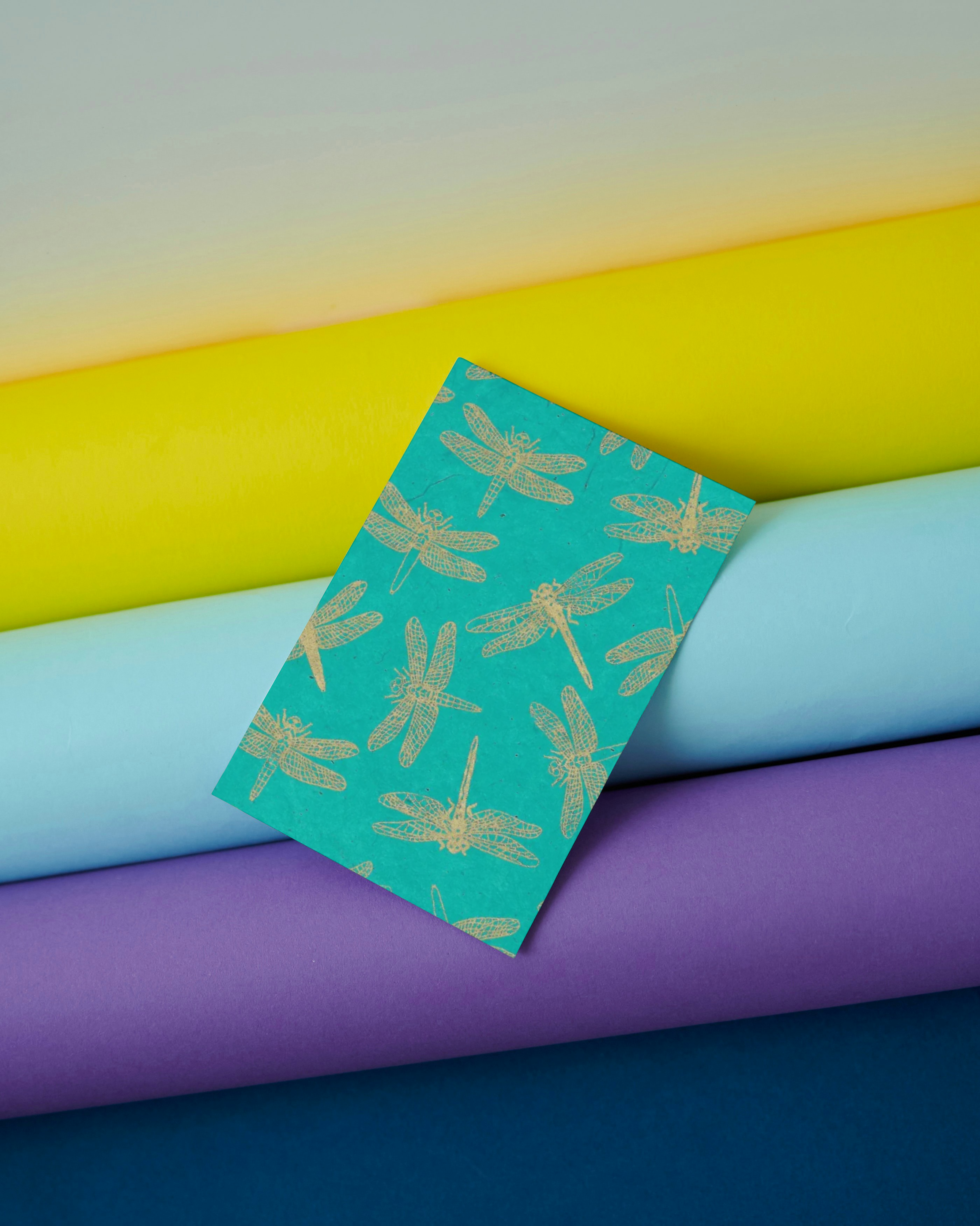 Summer Collector Bundle | Sticker Book and Summer Scrapbook Essentials Pre-Order